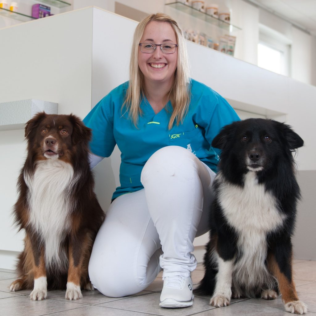 Dr Med Vet Marco Germann Tierarzt Start — Tierärztliche Praxis Dr. Marco Atzeni