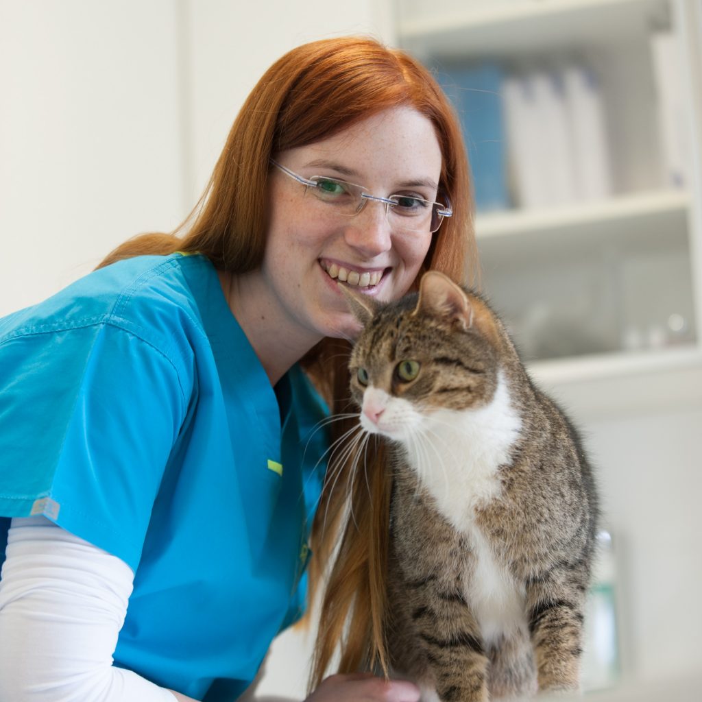 Dr Med Vet Marco Germann Tierarzt Start — Tierärztliche Praxis Dr. Marco Atzeni