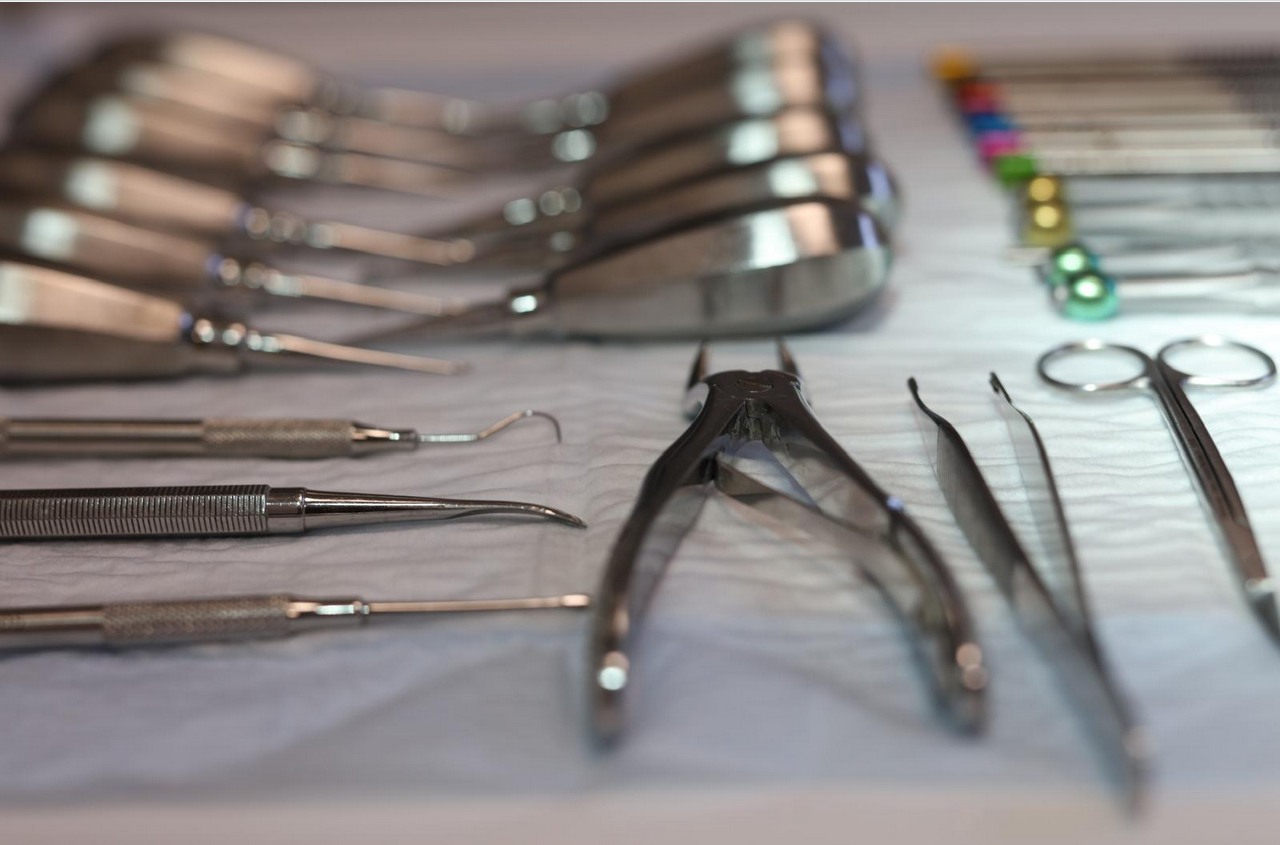 Spezialisierung in der Zahnmedizin für Tiere